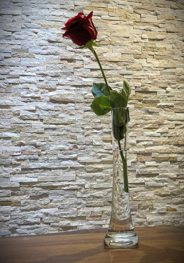 La Rosa Di Vinovo - Open Space Apartment Ngoại thất bức ảnh